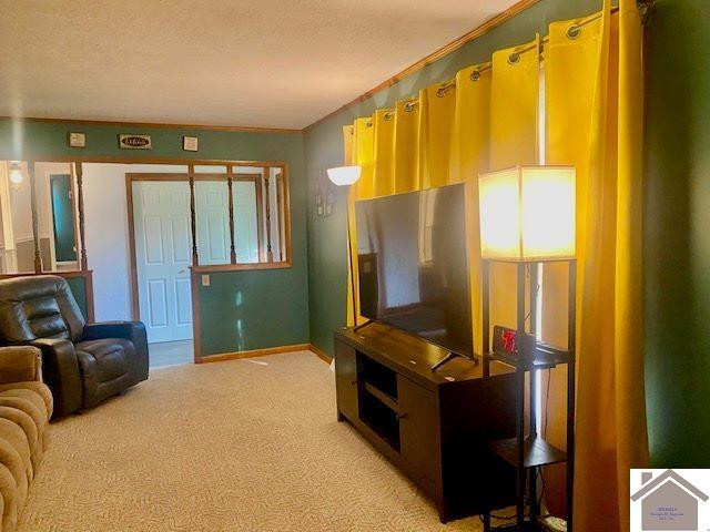 407 Reed Street Mayfield, KY 42066 - Photo 3 of 33 Photo 3