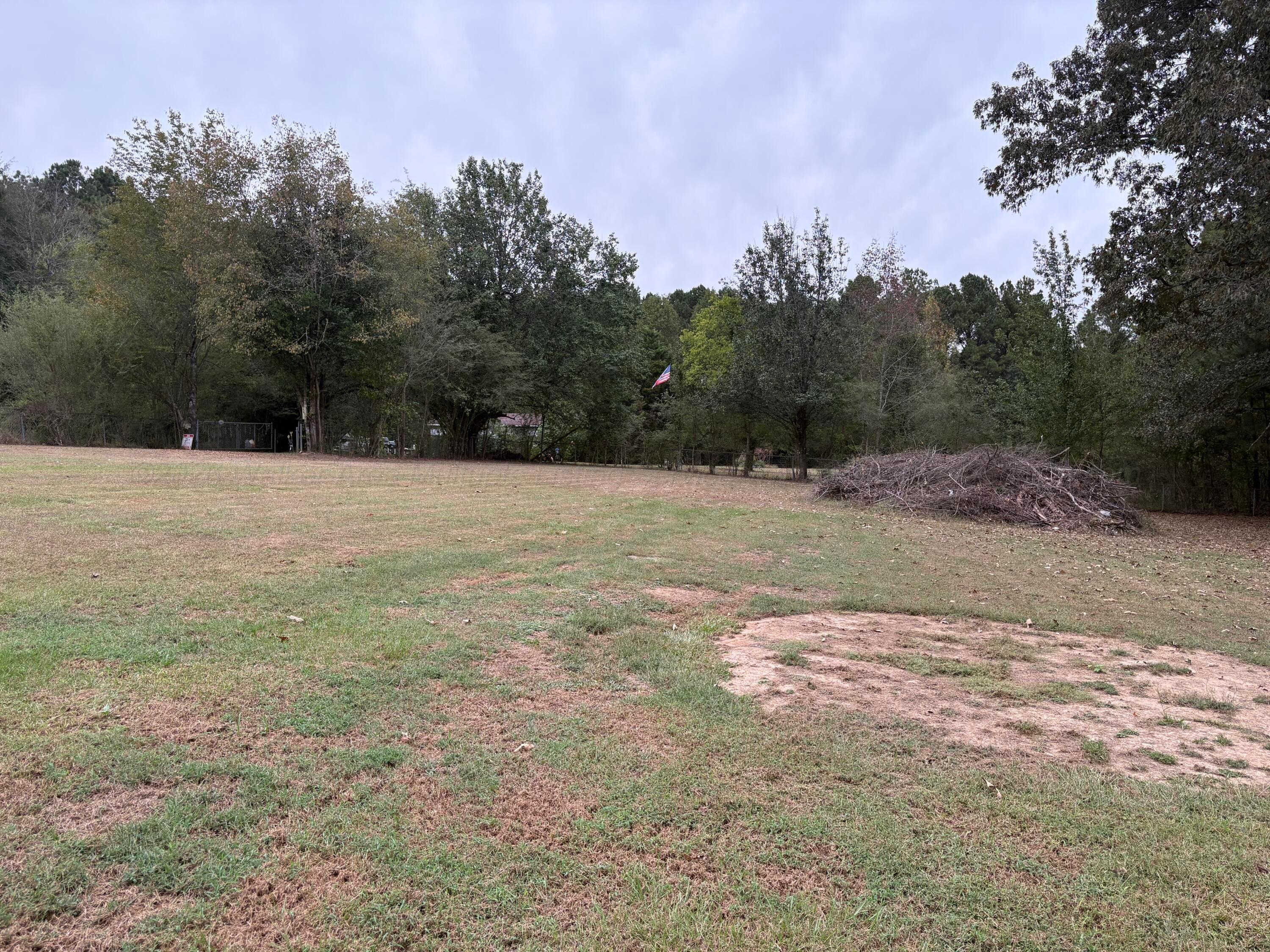 1705 Mountain Road Cordova, AL 35550 - Photo 25 of 26 Gallery Image 25