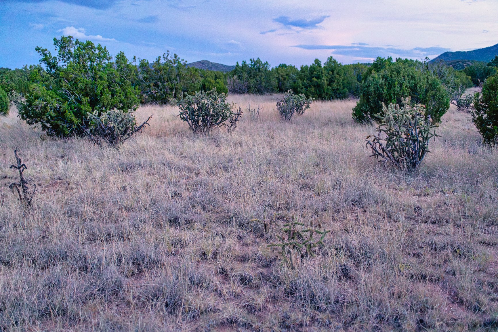 509 Gold Mine Road Cerrillos, NM 87010 - Photo 12 of 20