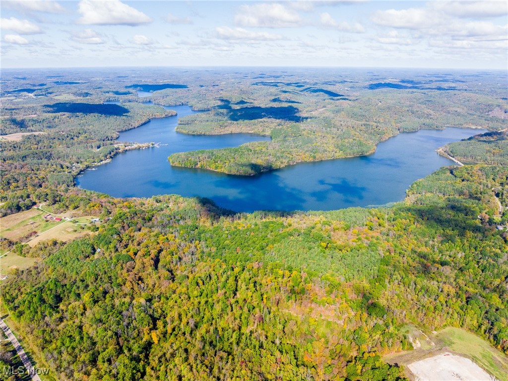 Clendening Lake Road Freeport, OH 43973 - Photo 1 of 41 Drone / aerial view of a forest and a nearby body of water