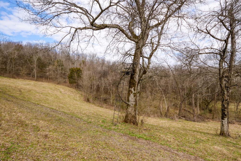 199 Quail Valley Road Petersburg, TN 37144 - Photo 28 of 35 Gallery Image 28