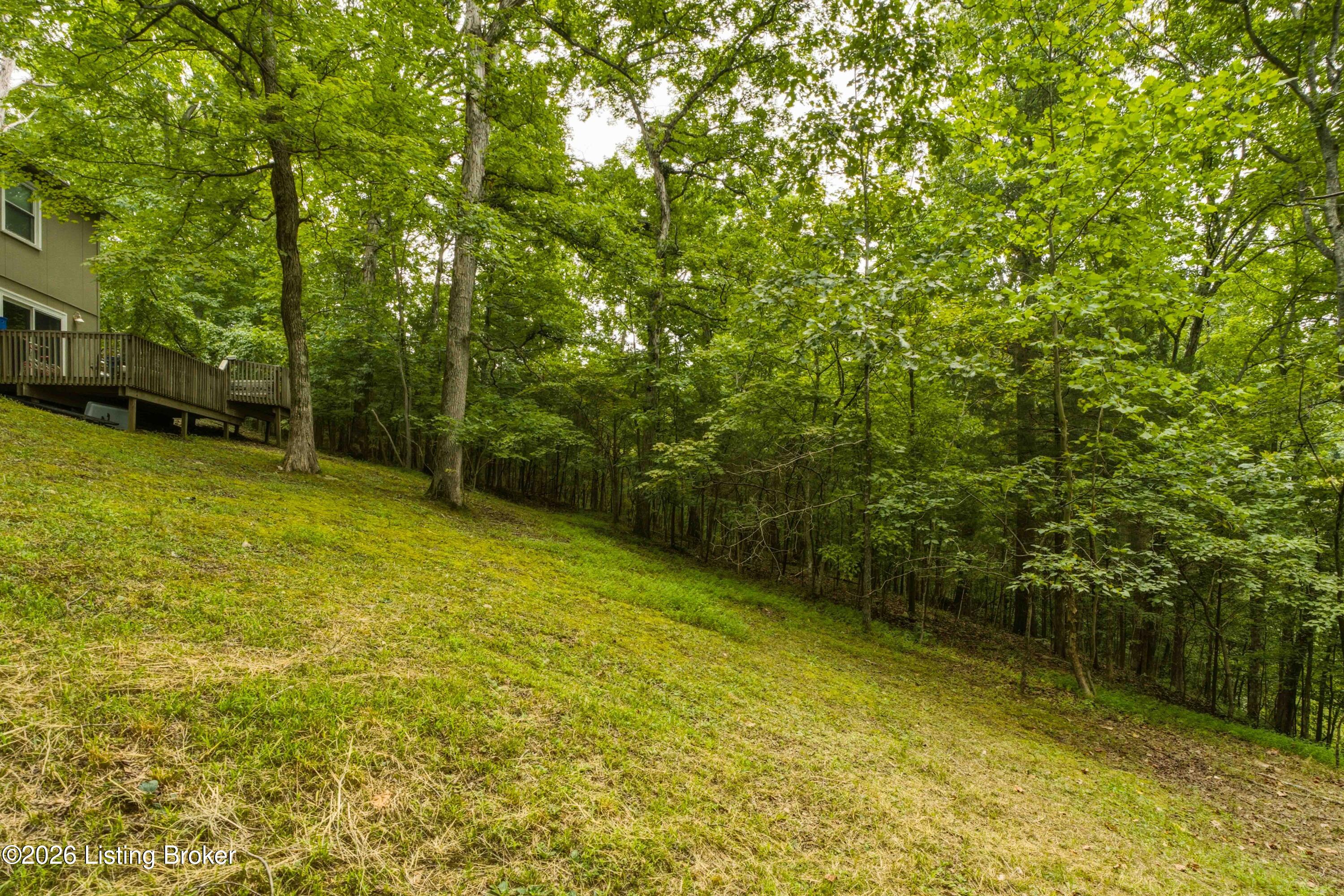957 Wildflower Ridge Road Brandenburg, KY 40108 - Photo 51 of 70 71-Backyard