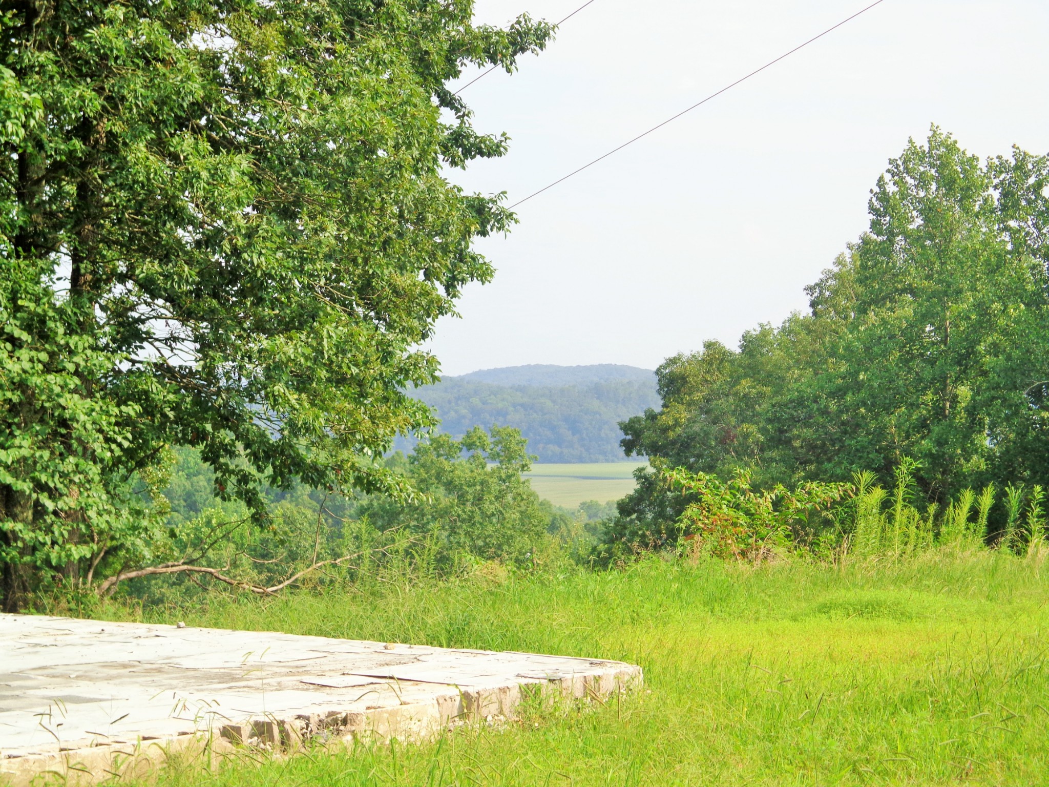 8828 Bakerville Road Waverly, TN 37185 - Photo 4 of 8 Gallery Image 4