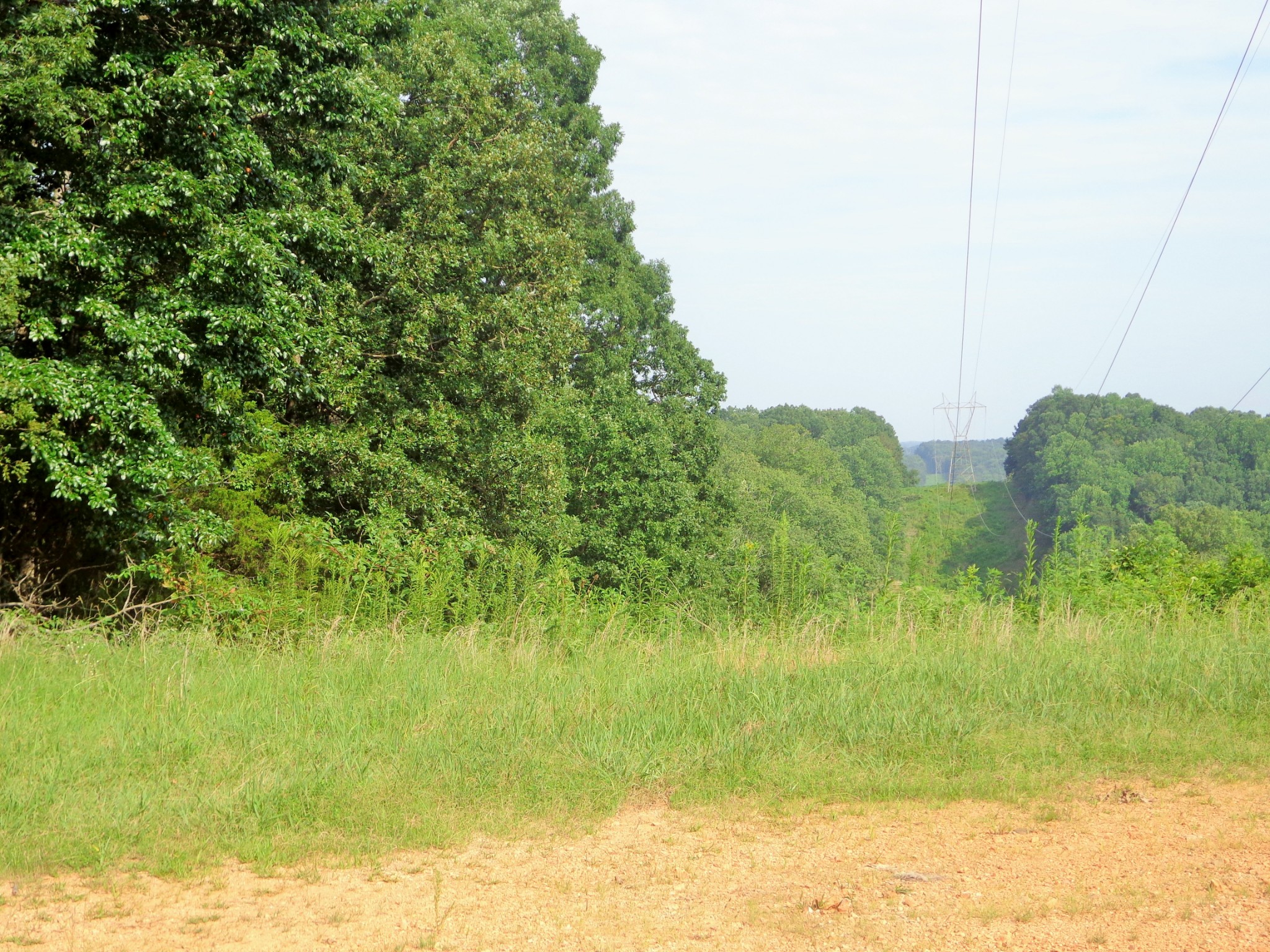 8828 Bakerville Road Waverly, TN 37185 - Photo 7 of 8 Gallery Image 7