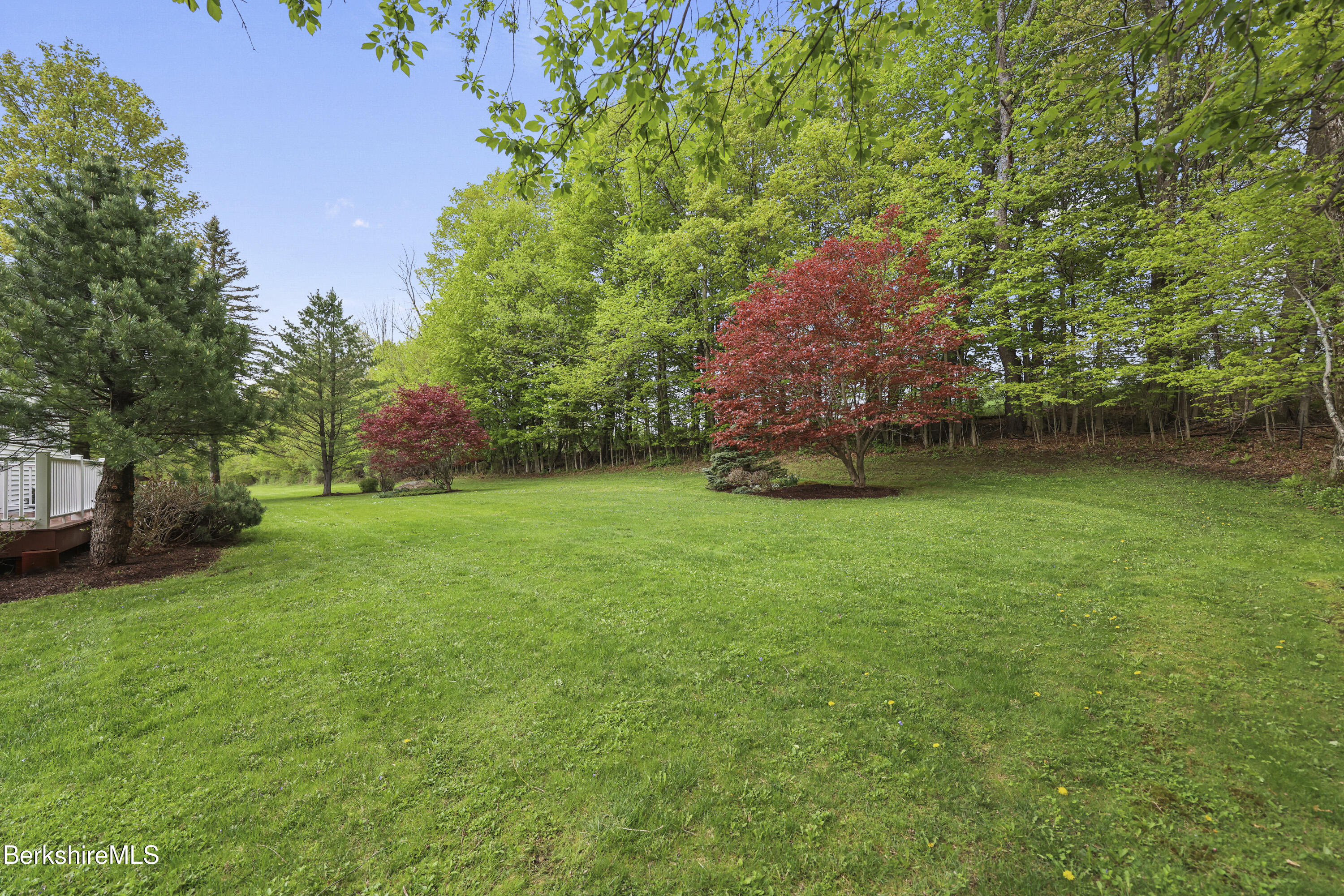 1400 Wells Road Cheshire, MA 01225 - Photo 36 of 44 Back Yard