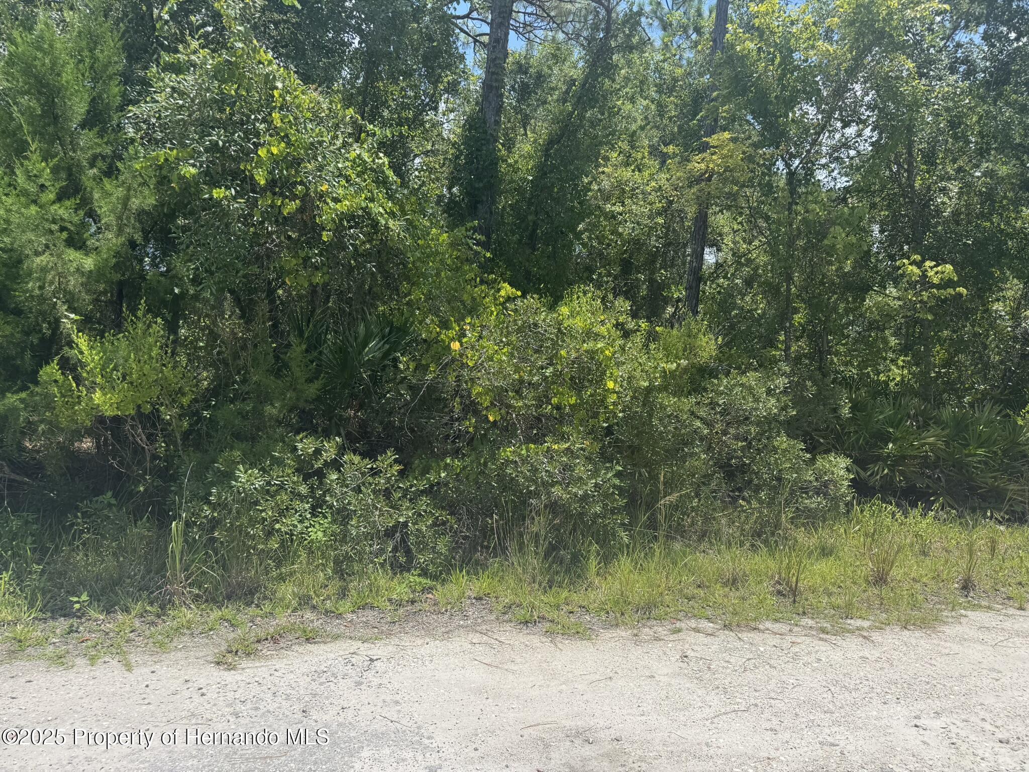 0 Lisle Street New Port Richey, FL 34654 - Photo 6 of 7