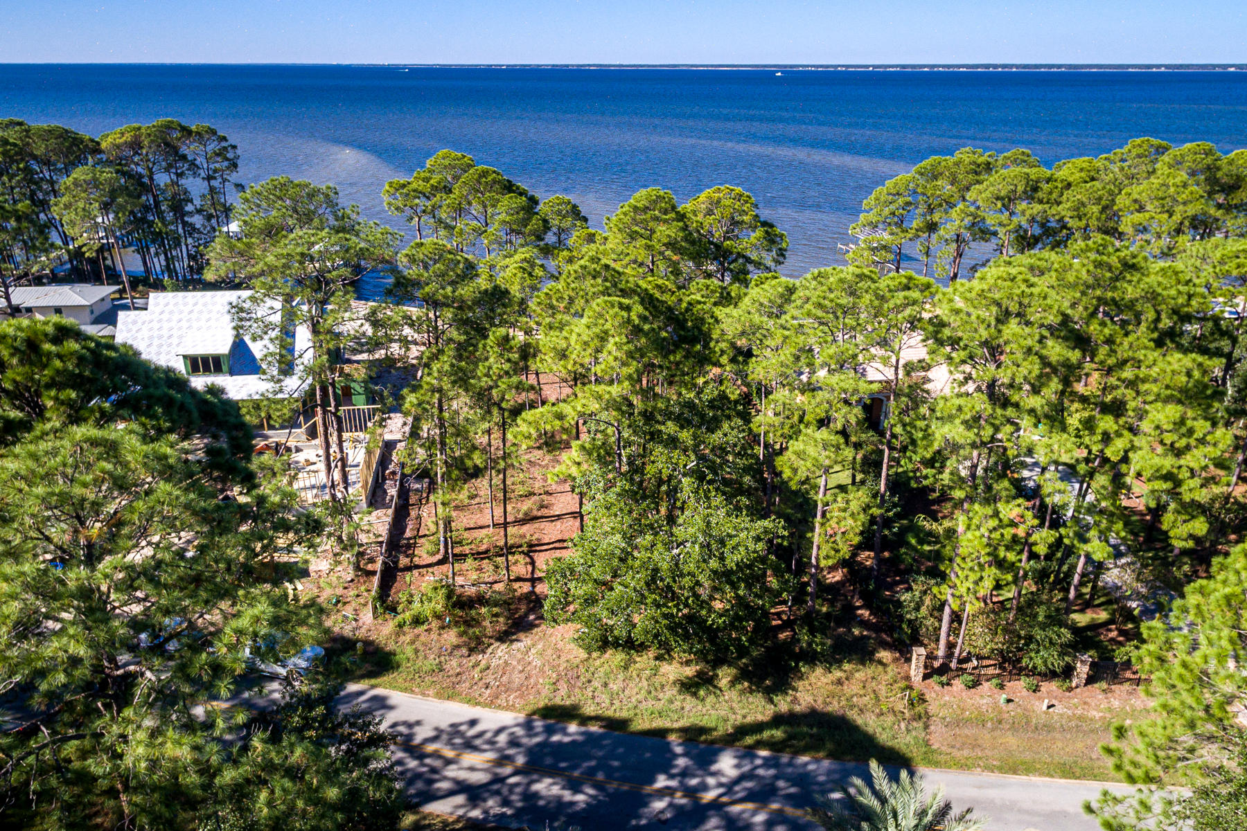 Lot 13 Driftwood Point Road Santa Rosa Beach, FL 32459 - Photo 3 of 22 a view of a bunch of flowers and trees