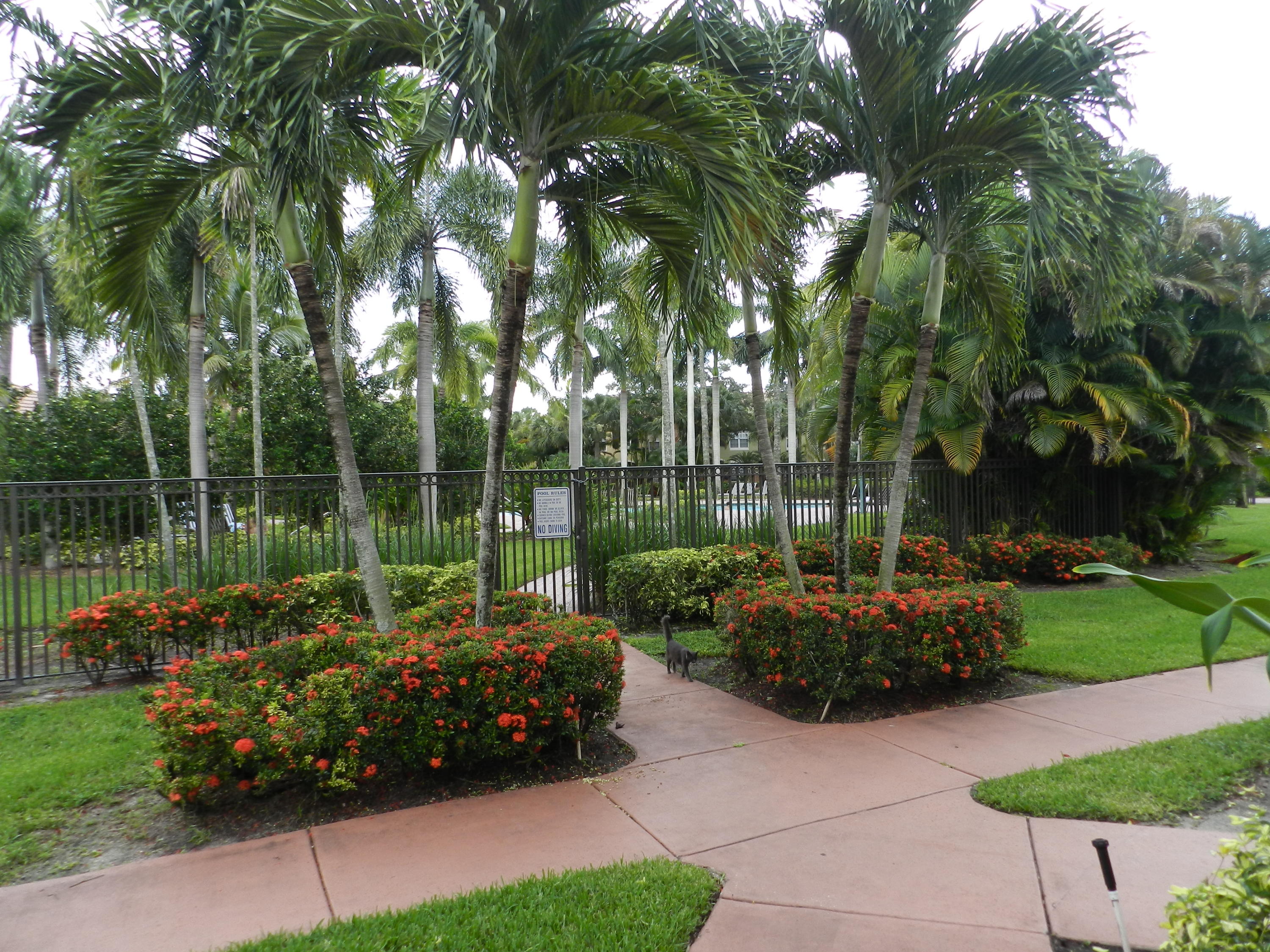 10348 Fox Trail Road South, Unit 512 Royal Palm Beach, FL 33411 - Photo 18 of 21 DSCN0360