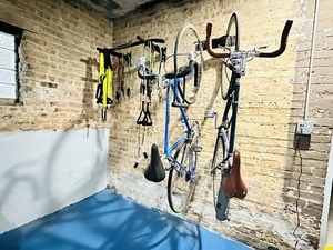 2344 West Cortez Street, Unit GS Chicago, IL 60622 - Photo 10 of 11