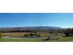 355 Bill Shaw Road Afton, TN 37616 - Photo 2 of 24 Photo 2