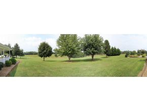 355 Bill Shaw Road Afton, TN 37616 - Photo 24 of 24 Photo 24