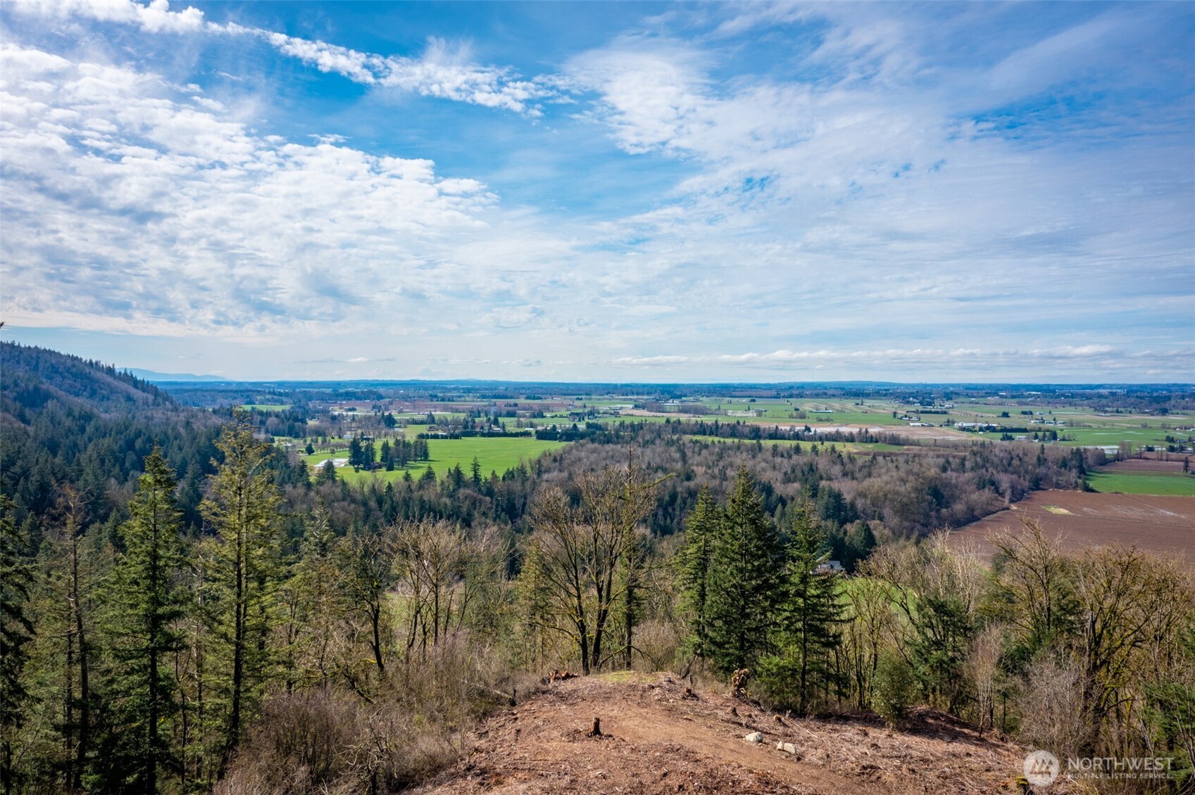 48-xx Reese Hill Road Sumas, WA 98295 - Photo 1 of 22 a view of a city with lots of trees