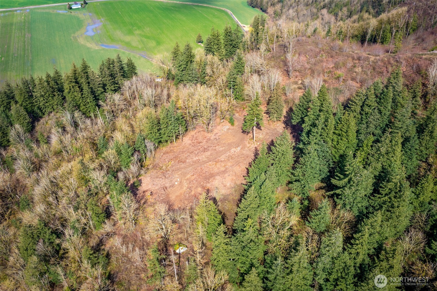 48-xx Reese Hill Road Sumas, WA 98295 - Photo 11 of 22 a view of a yard with plants and large trees