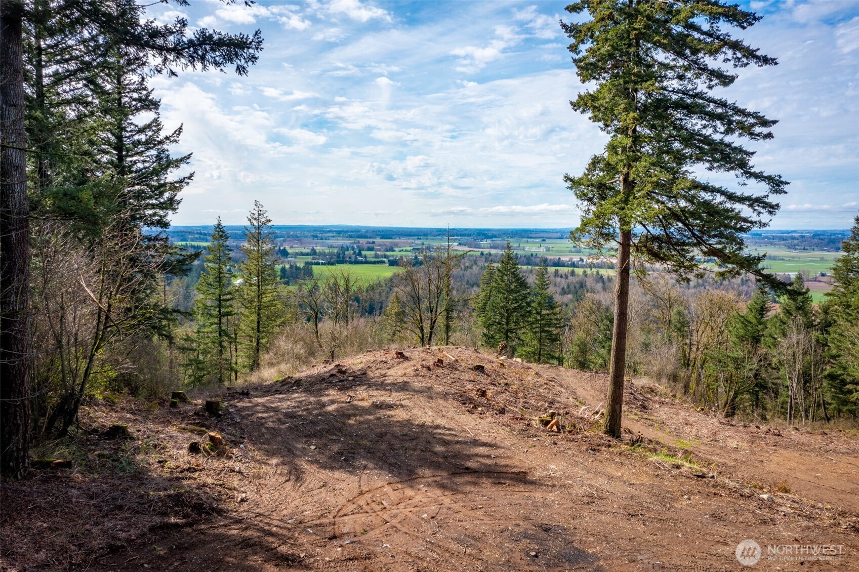 48-xx Reese Hill Road Sumas, WA 98295 - Photo 12 of 22 a view of a yard with a tree