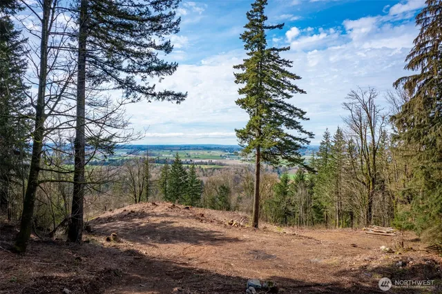 a view of a yard with iron fence