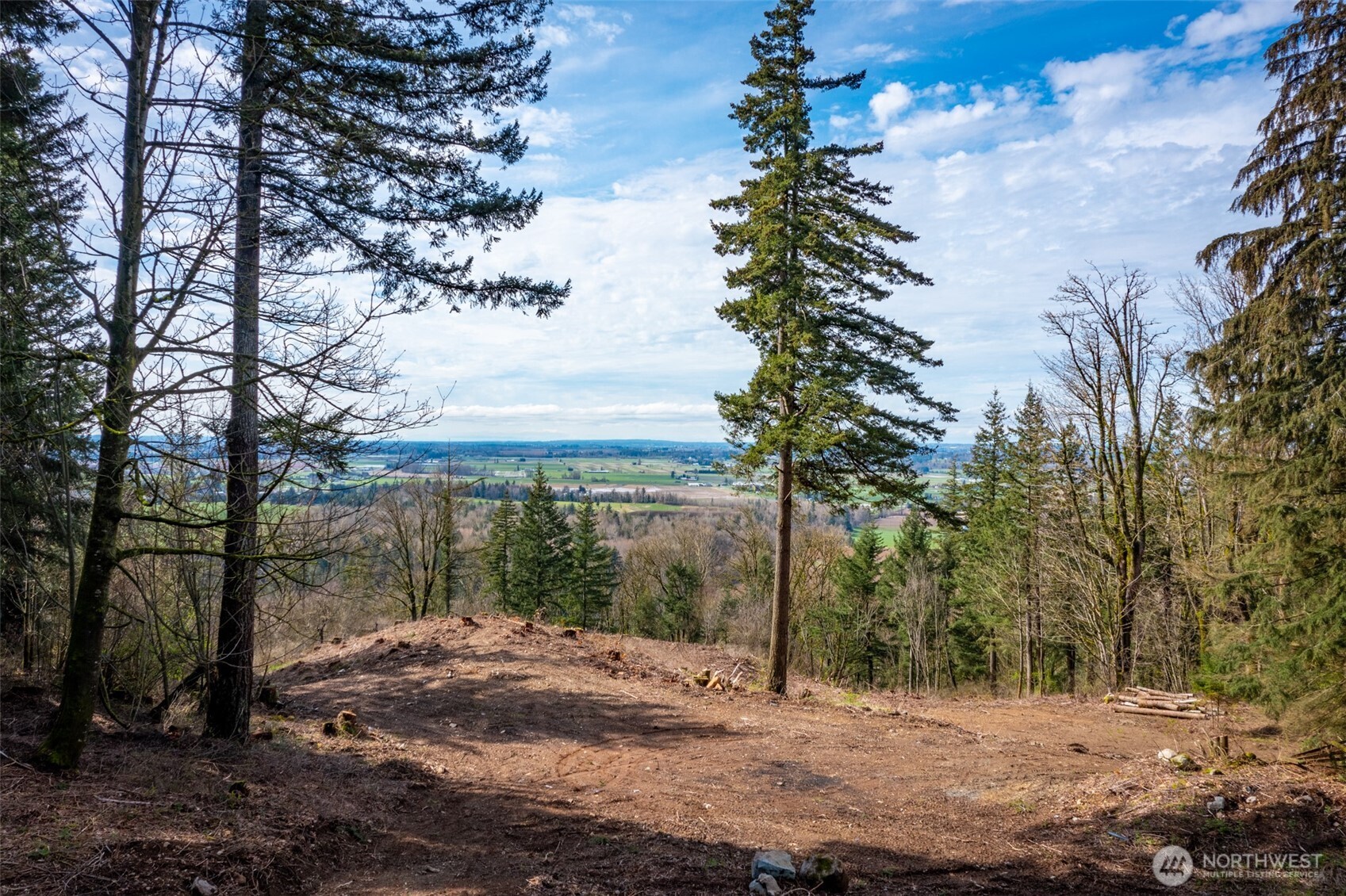 48-xx Reese Hill Road Sumas, WA 98295 - Photo 13 of 22 a view of a yard with iron fence