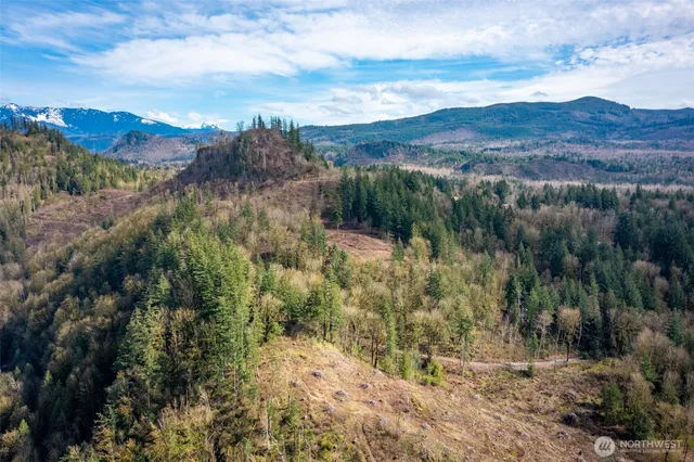 a view of a forest with mountains in the background