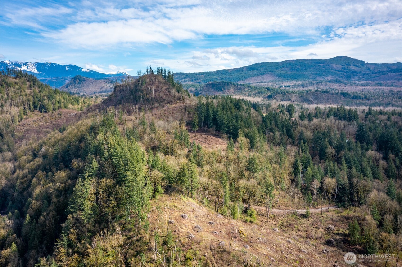 48-xx Reese Hill Road Sumas, WA 98295 - Photo 17 of 22 a view of a forest with mountains in the background