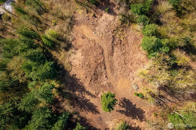 a view of a yard with plants and trees
