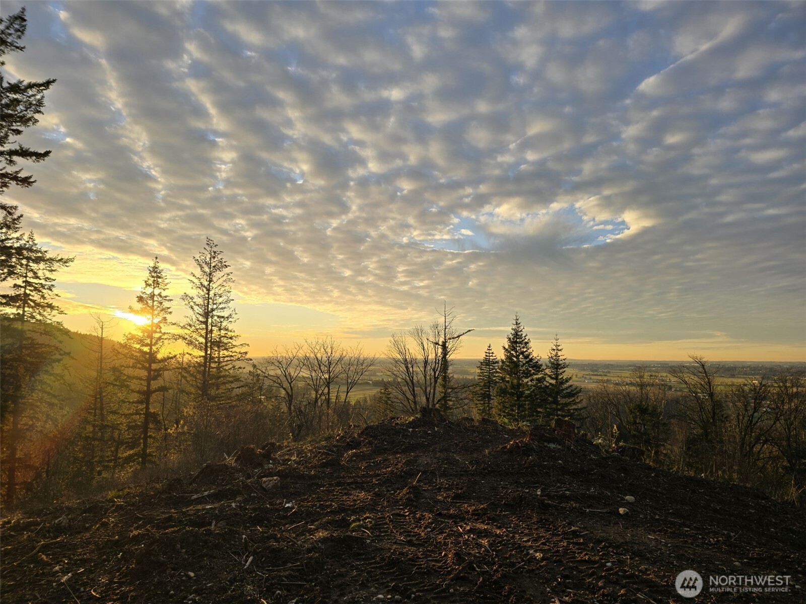 48-xx Reese Hill Road Sumas, WA 98295 - Photo 20 of 22 a view of a city