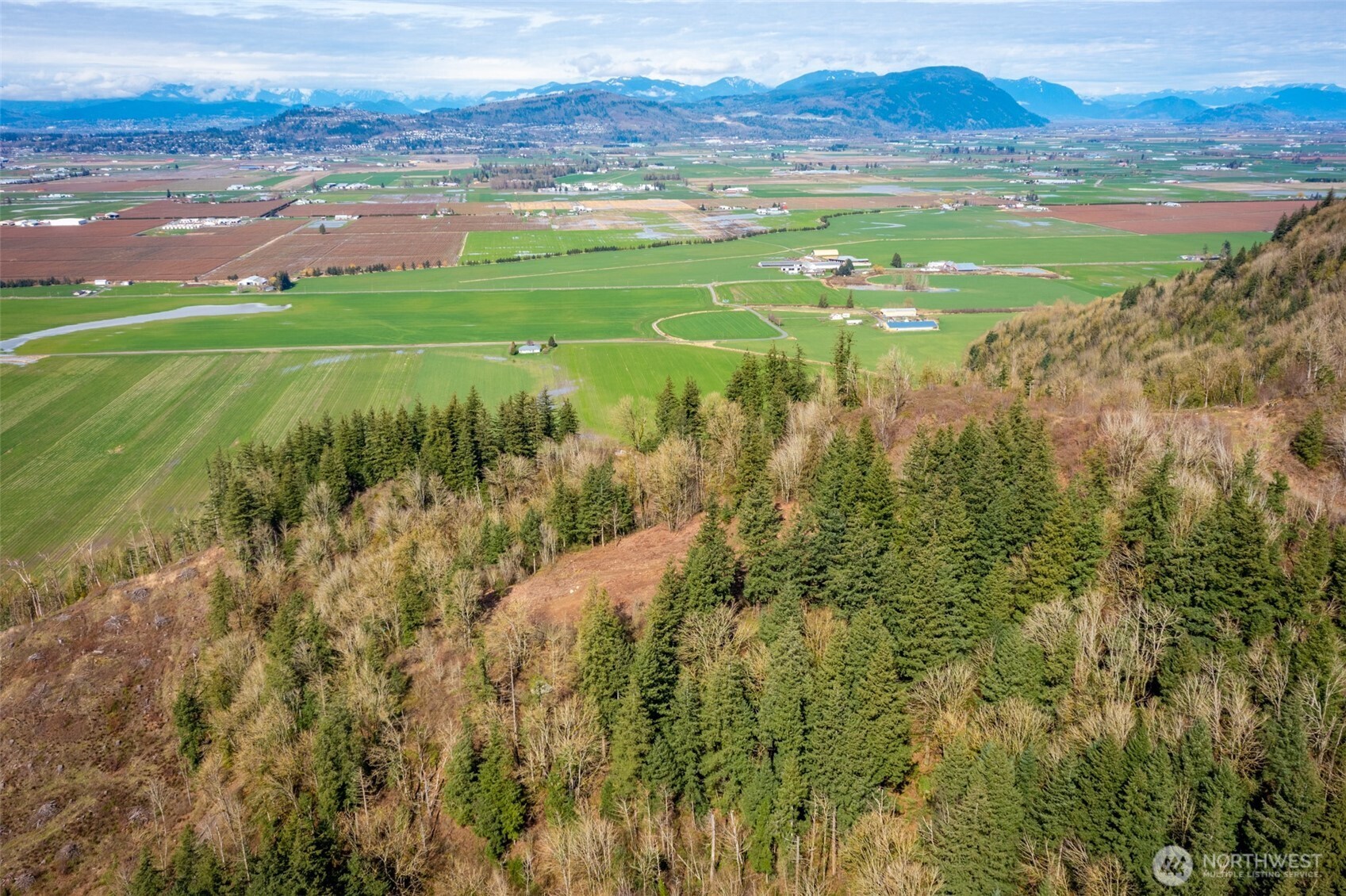48-xx Reese Hill Road Sumas, WA 98295 - Photo 6 of 22 a view of a lake with a mountain