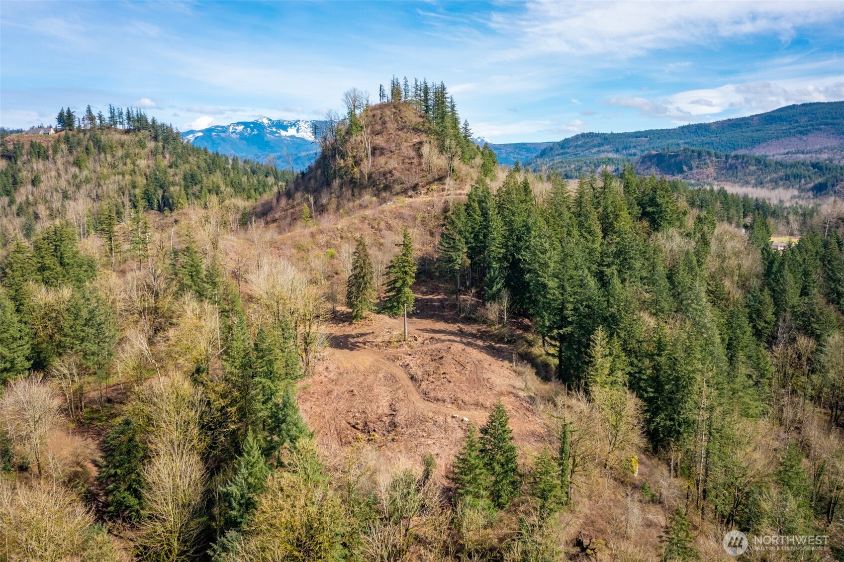 48-xx Reese Hill Road Sumas, WA 98295 - Photo 9 of 22 a view of a yard with a mountain and trees in the background