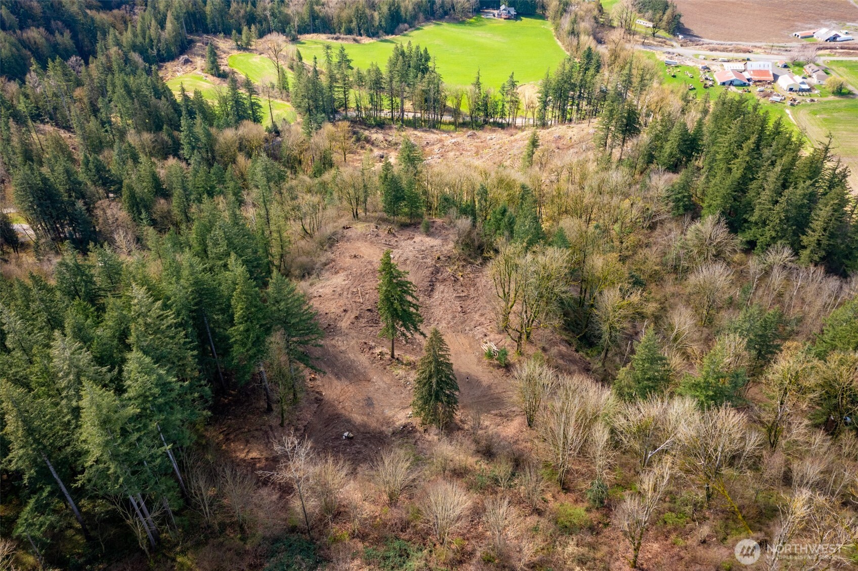 48-xx Reese Hill Road Sumas, WA 98295 - Photo 10 of 22 a view of a yard with plants and large trees