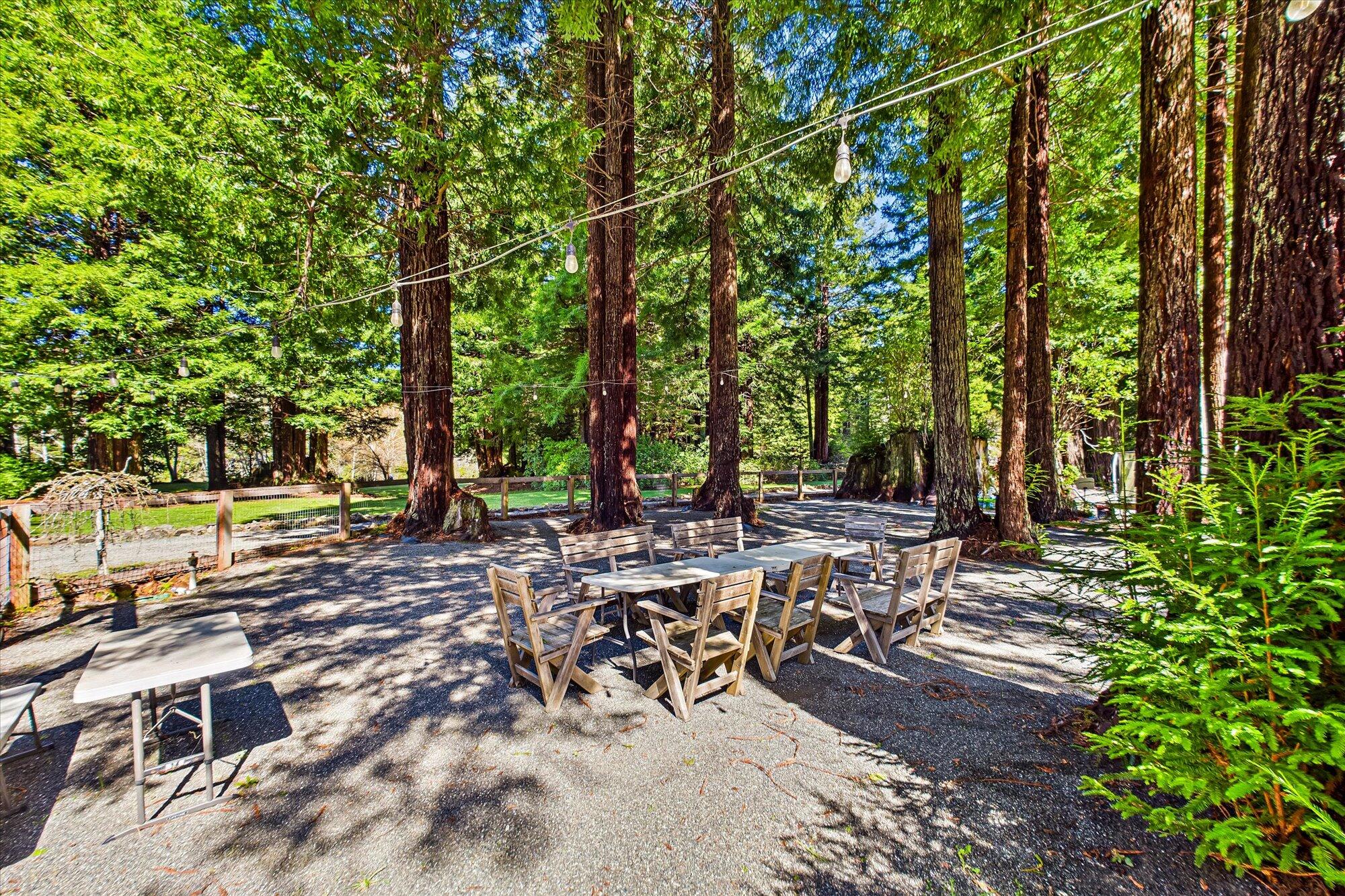174 Fox Farm Road Trinidad, CA 95570 - Photo 190 of 200 Gallery Image 190