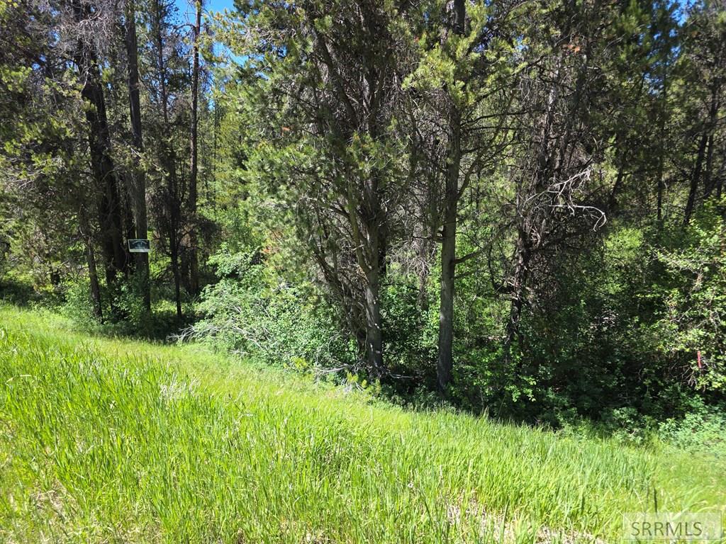 4585 East 1400 Road North Ashton, ID 83420 - Photo 30 of 31