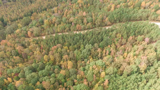 $259,999 | 190 Pine Tree Drive, Parsons, TN 38363