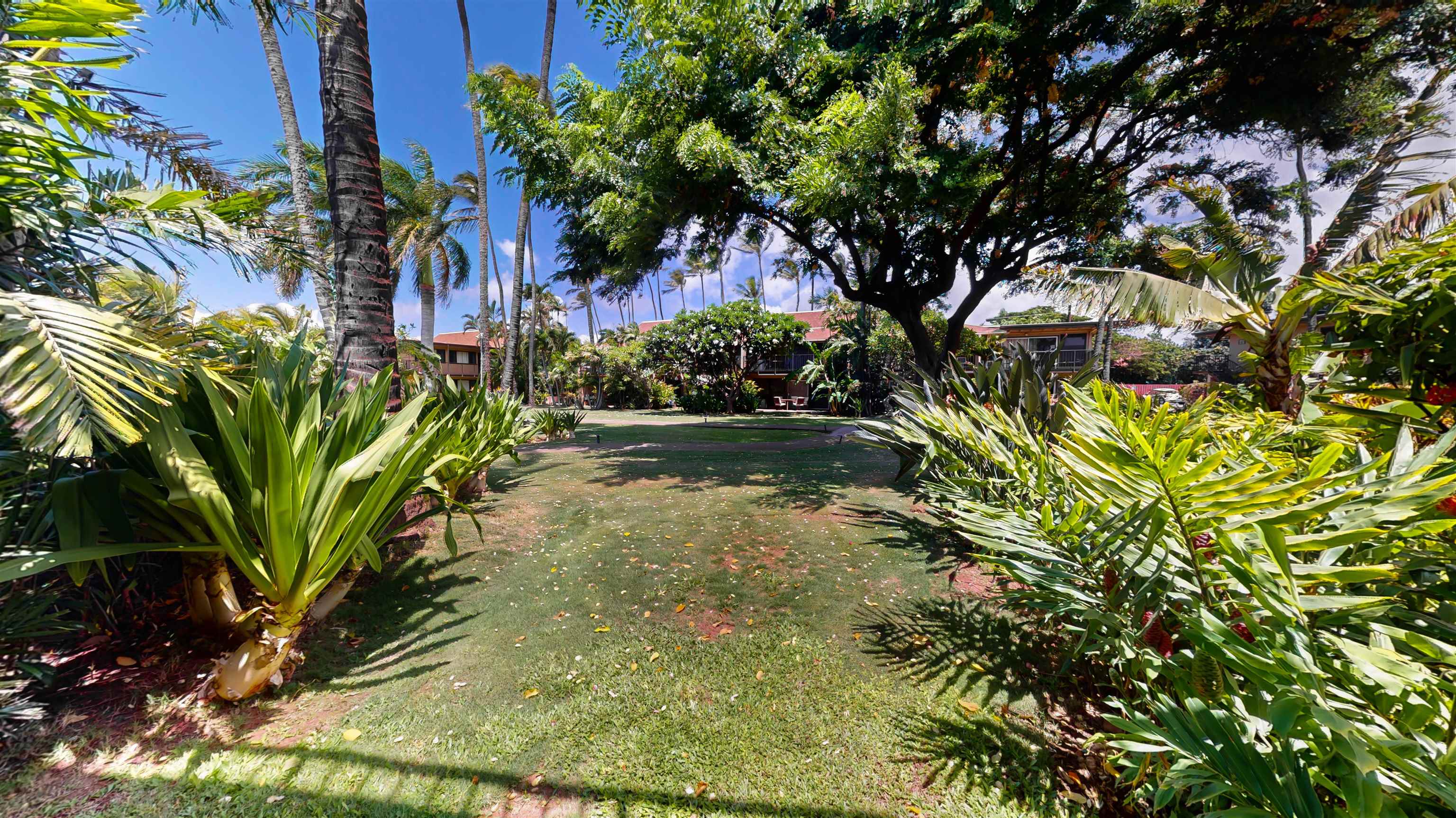 3559 Lower Honoapiilani Road, Unit 6C Lahaina, HI 96761 - Photo 10 of 15
