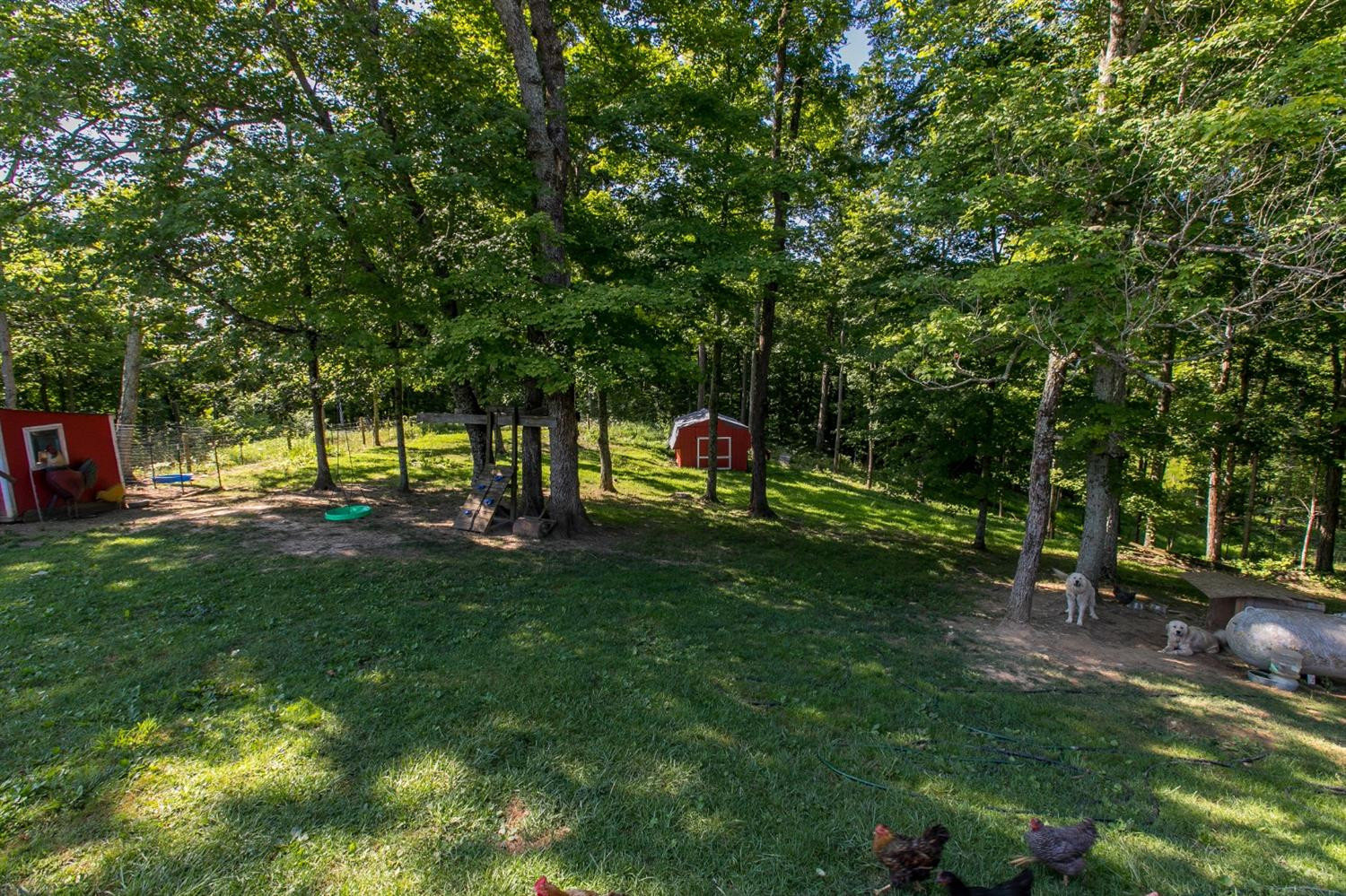 1011 Goshen Road Lawrenceburg, KY 40342 - Photo 42 of 56 Photo 42