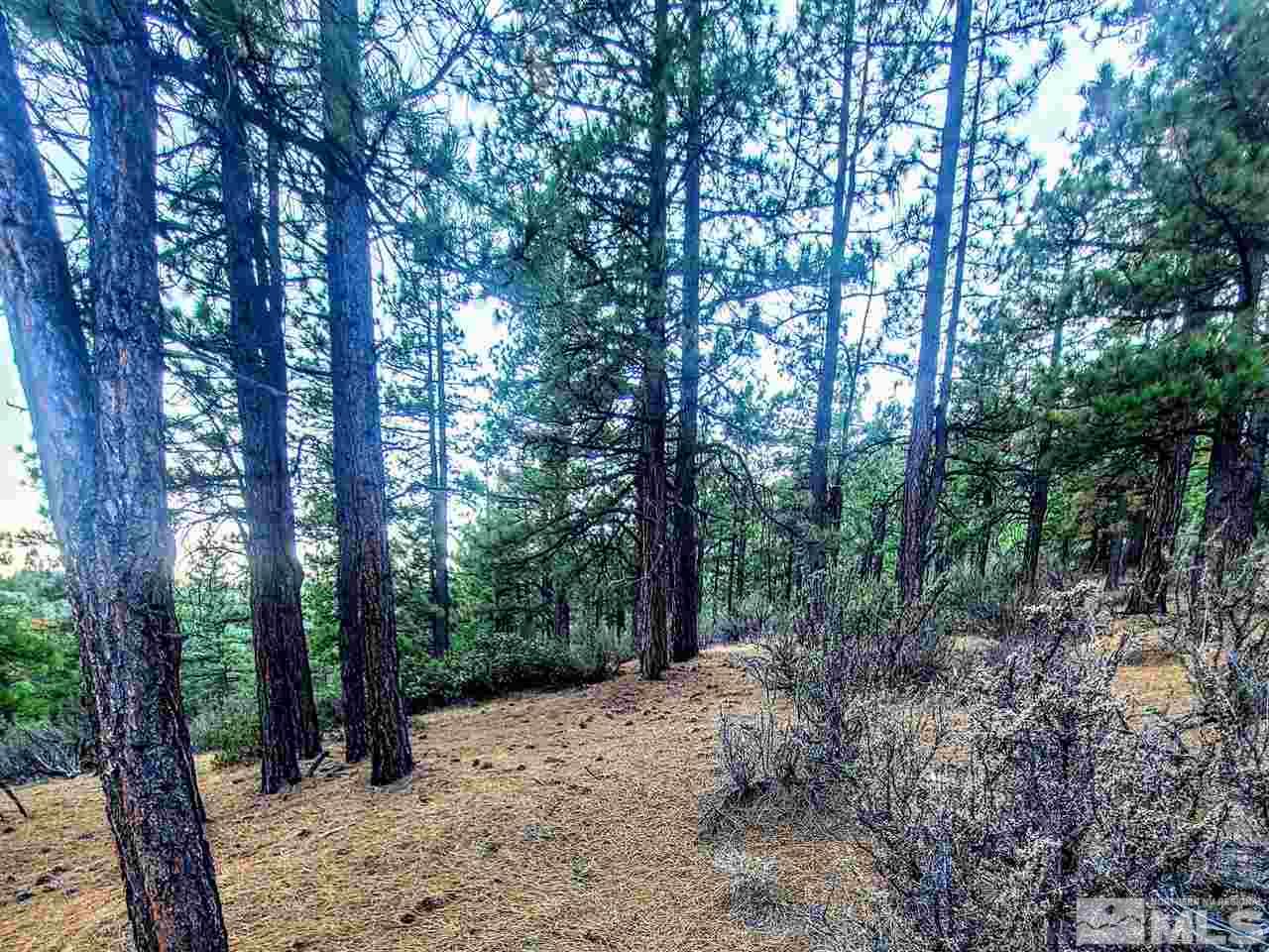 51 Will Sauer Road Washoe Valley, NV 89704 - Photo 3 of 14 Photo 3