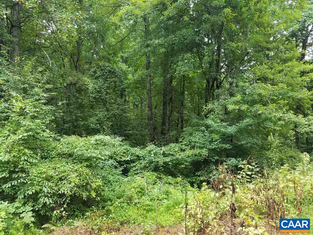 South Greene Acres Road South Stanardsville, VA 22973 - Photo 3 of 6 Gallery Image 3
