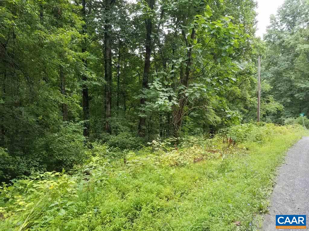 South Greene Acres Road South Stanardsville, VA 22973 - Photo 4 of 6 Gallery Image 4