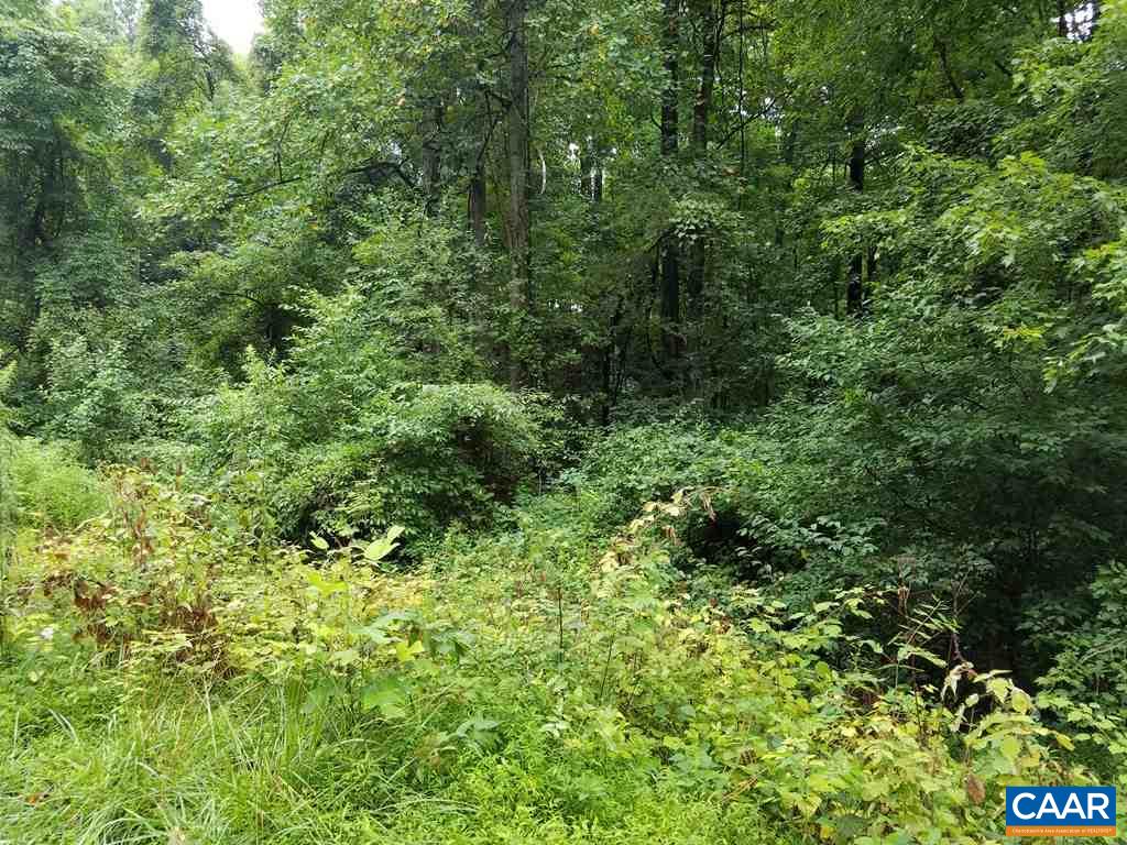 South Greene Acres Road South Stanardsville, VA 22973 - Photo 5 of 6 Gallery Image 5