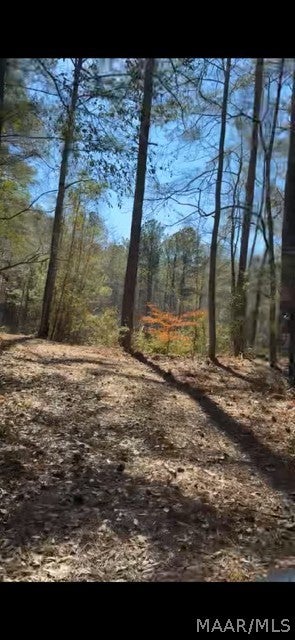 40 West County Road Billingsley, AL 36006 - Photo 26 of 36 Gallery Image 26