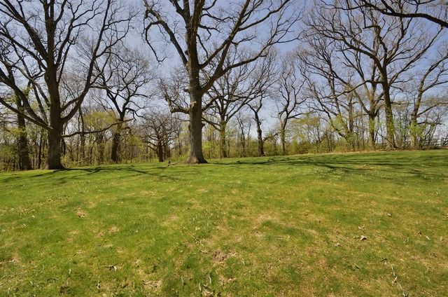 6-n034 Corron Road St. Charles, IL 60175 - Photo 25 of 25 a view of building with trees
