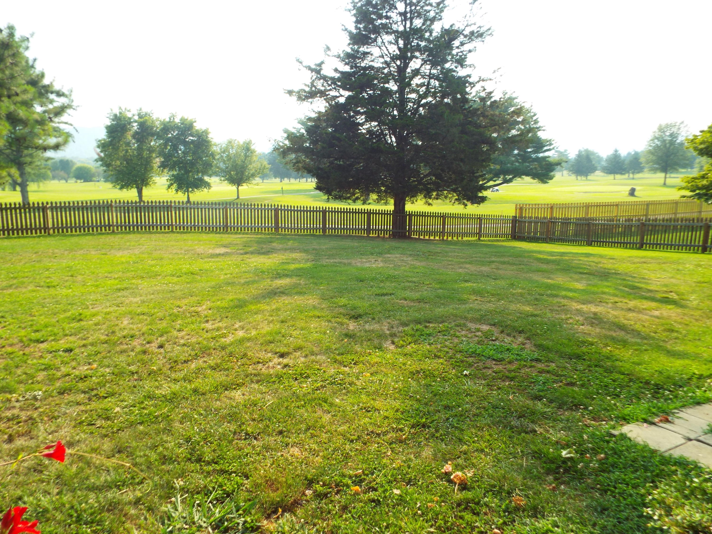 394 Huntsman Lane Bean Station, TN 37708 - Photo 14 of 36 0B0E8E02-3FB2-47AC-80CC-B10615535021