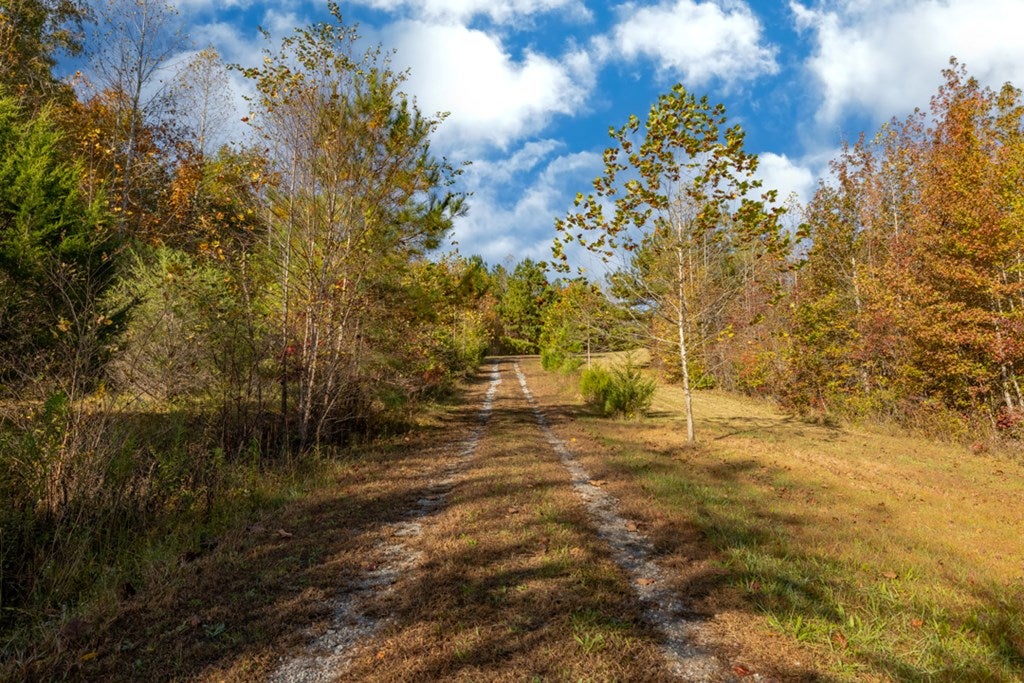 Crymes Road, Unit 13A Keysville, VA 23947 - Photo 13 of 39 Gallery Image 13