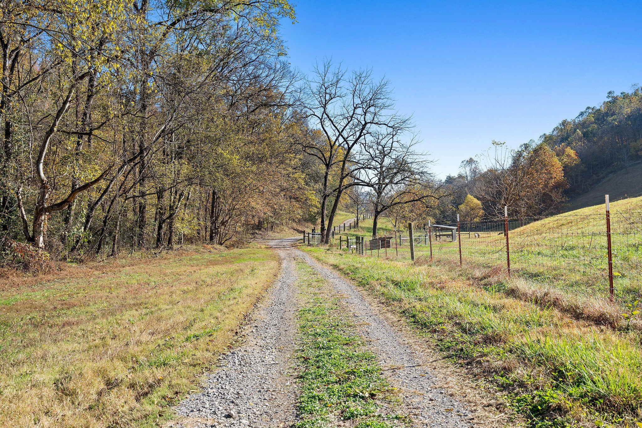 183 Puncheon Camp Lane Bell Buckle, TN 37020 - Photo 33 of 51