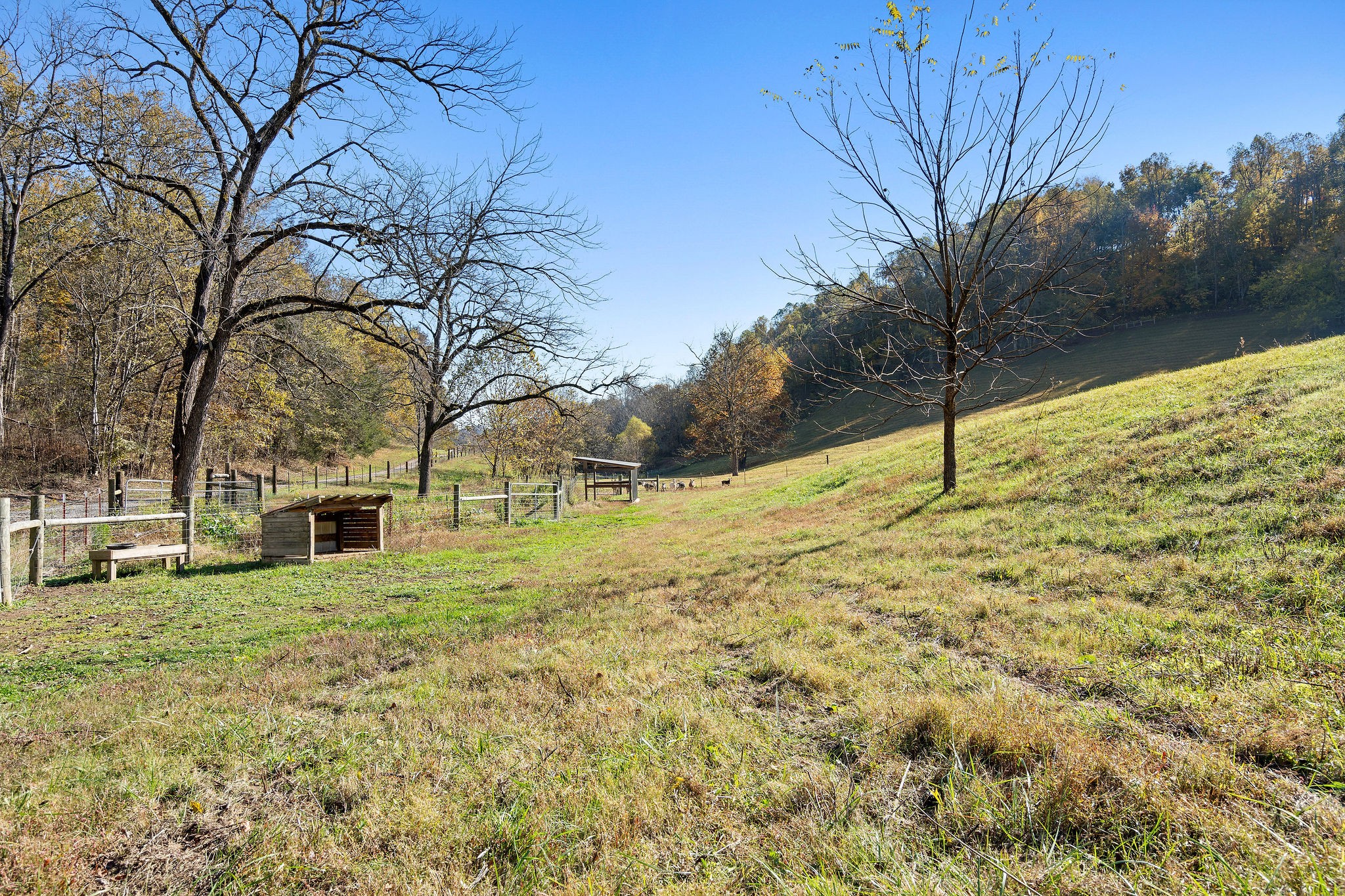 183 Puncheon Camp Lane Bell Buckle, TN 37020 - Photo 34 of 51
