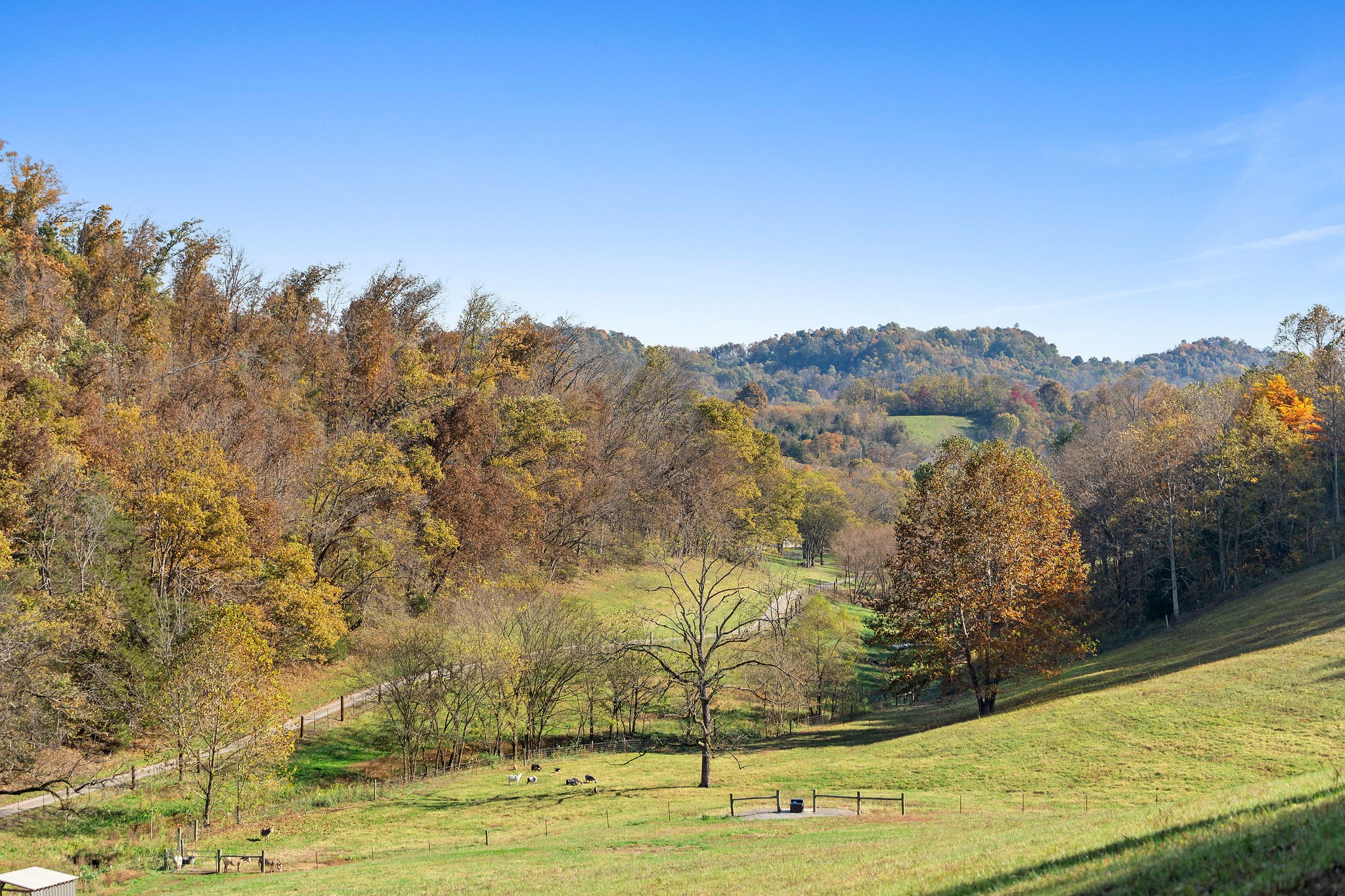183 Puncheon Camp Lane Bell Buckle, TN 37020 - Photo 39 of 51