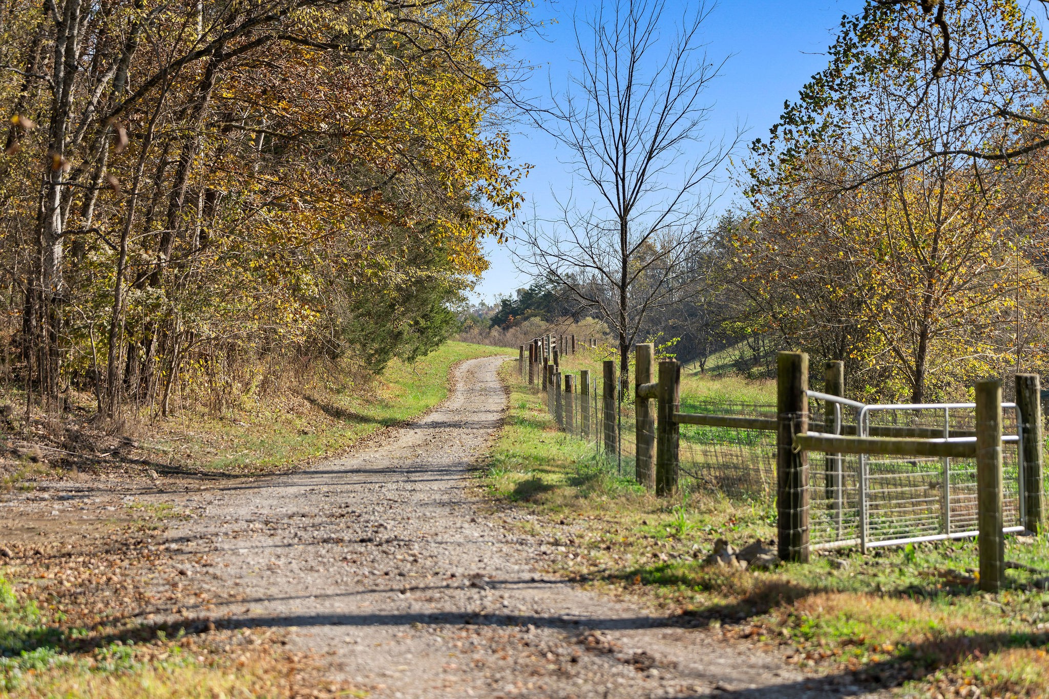 183 Puncheon Camp Lane Bell Buckle, TN 37020 - Photo 41 of 51