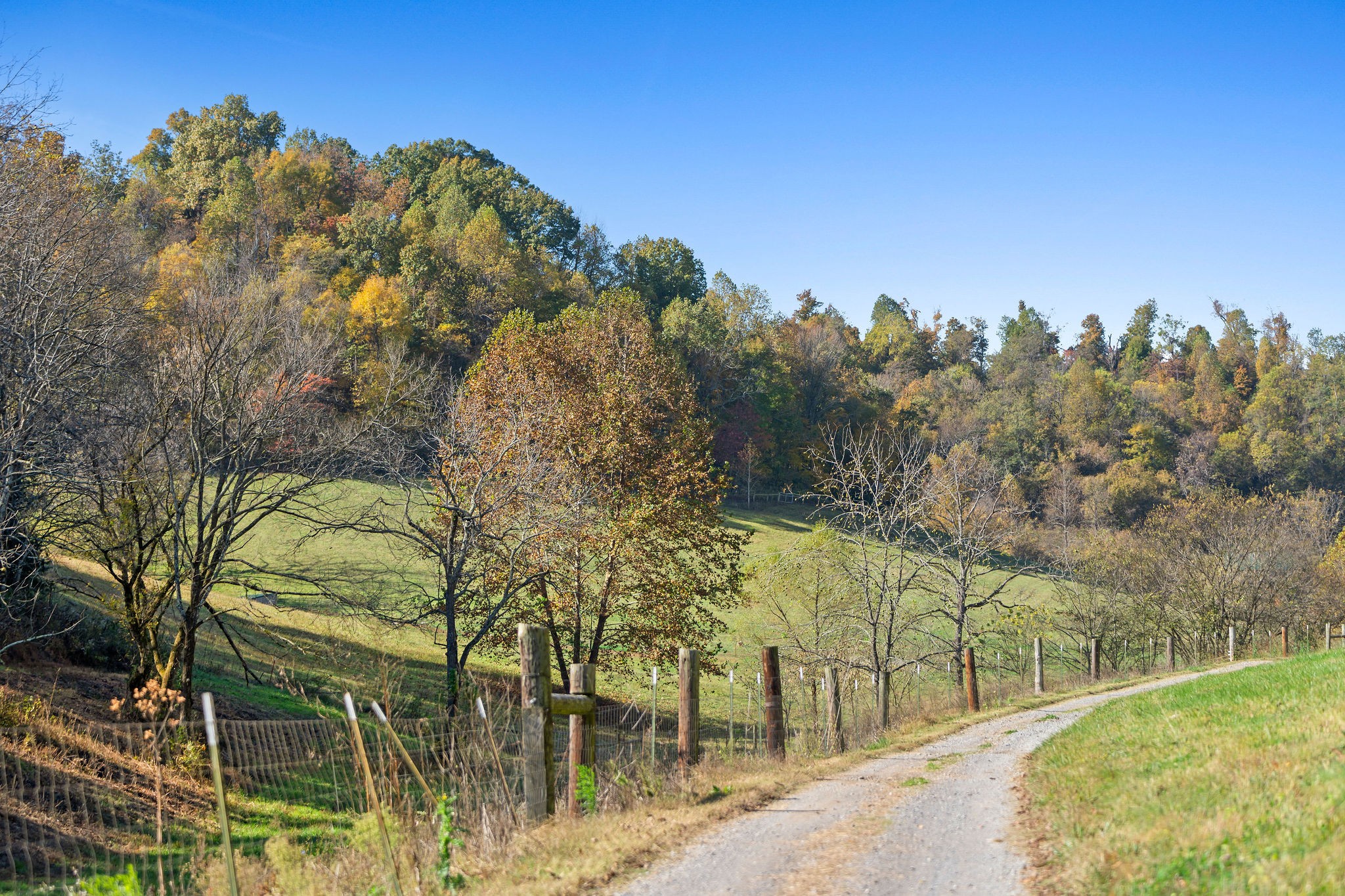 183 Puncheon Camp Lane Bell Buckle, TN 37020 - Photo 42 of 51