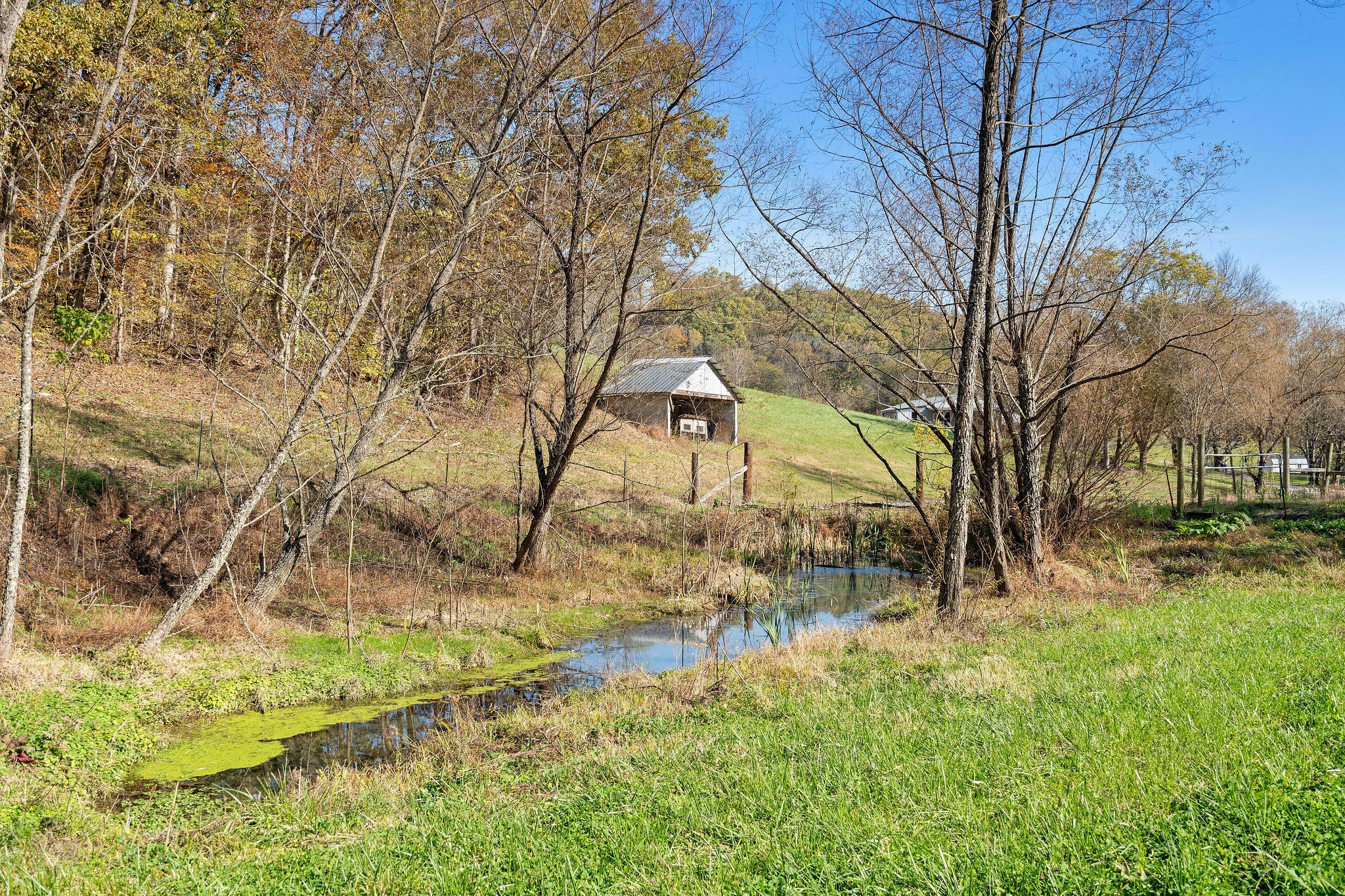 183 Puncheon Camp Lane Bell Buckle, TN 37020 - Photo 43 of 51 a backyard of a house with lots of green space