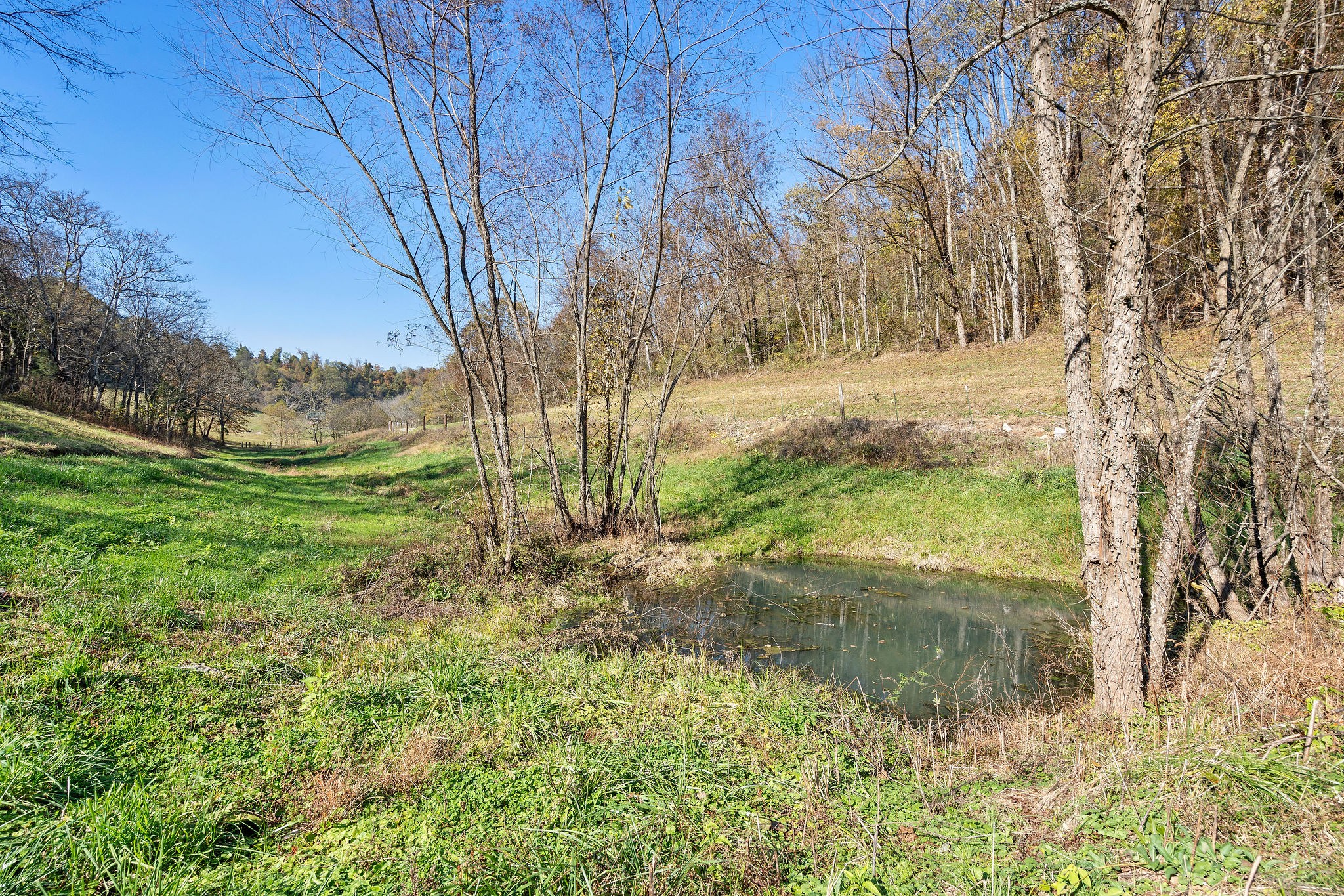 183 Puncheon Camp Lane Bell Buckle, TN 37020 - Photo 44 of 51