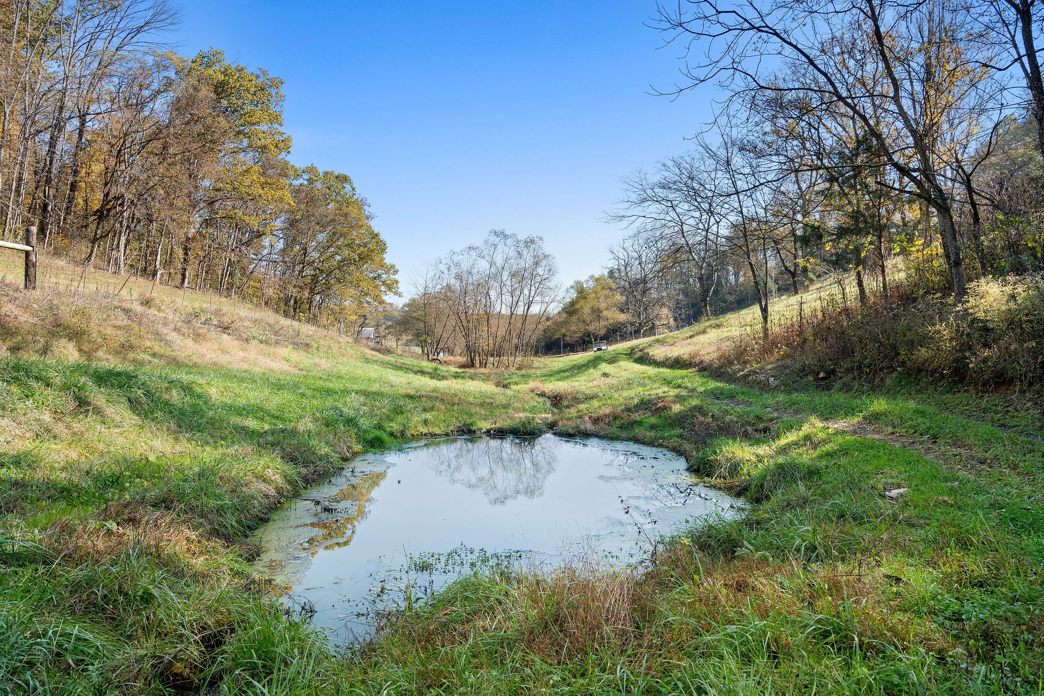 183 Puncheon Camp Lane Bell Buckle, TN 37020 - Photo 45 of 51