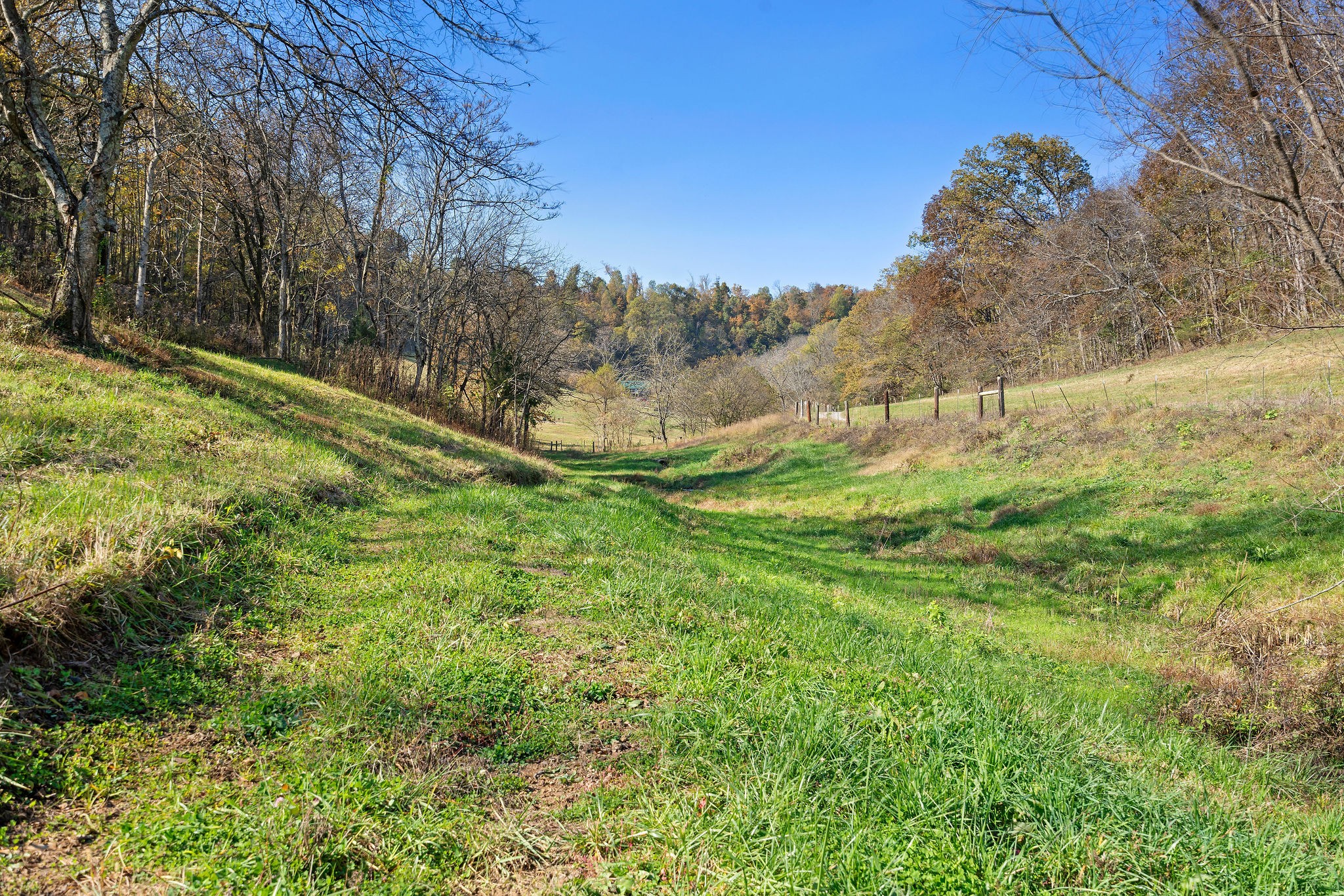 183 Puncheon Camp Lane Bell Buckle, TN 37020 - Photo 46 of 51