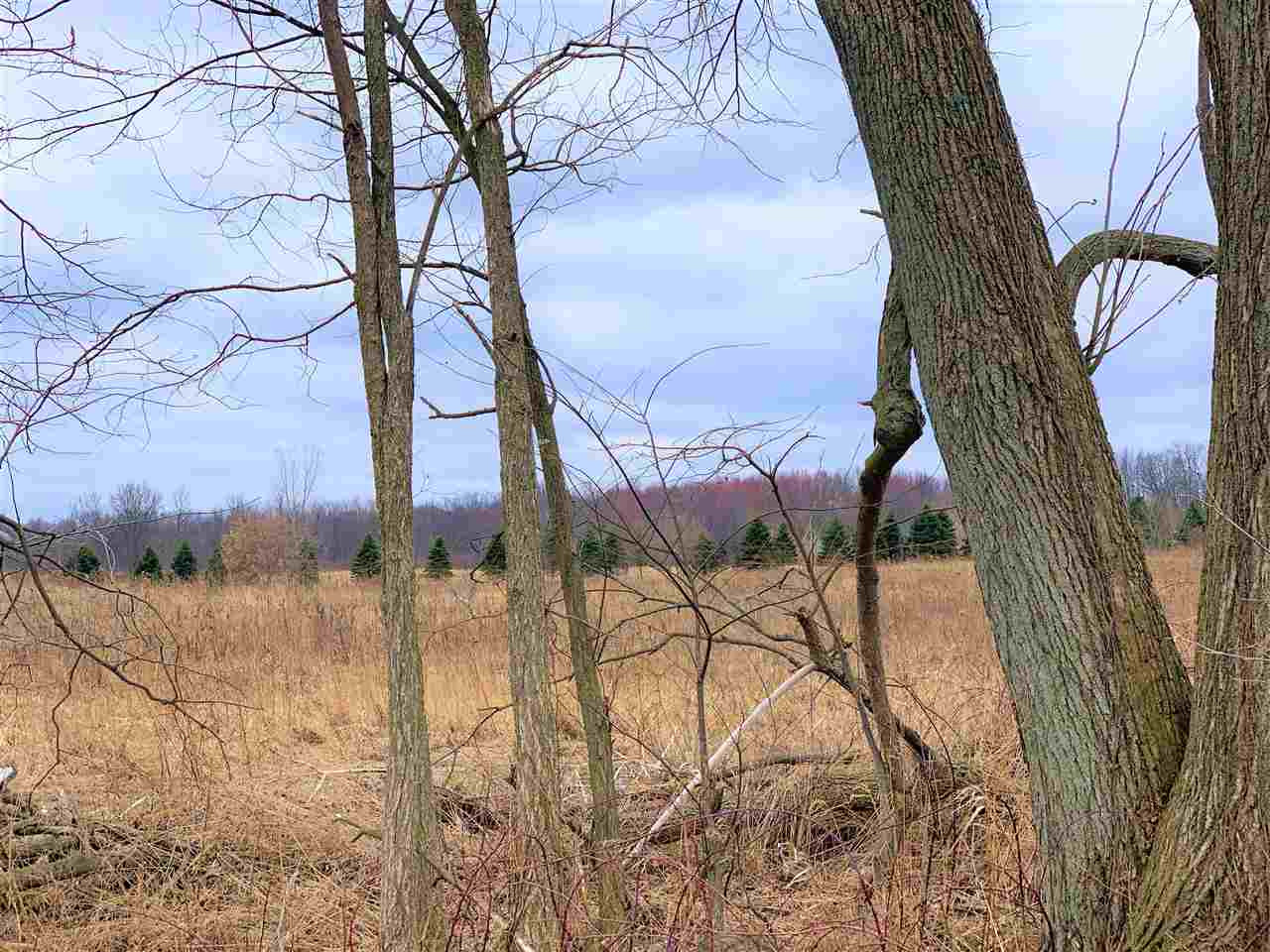 East Fitchburg Road Stockbridge, MI 49285 - Photo 1 of 5 Photo 1